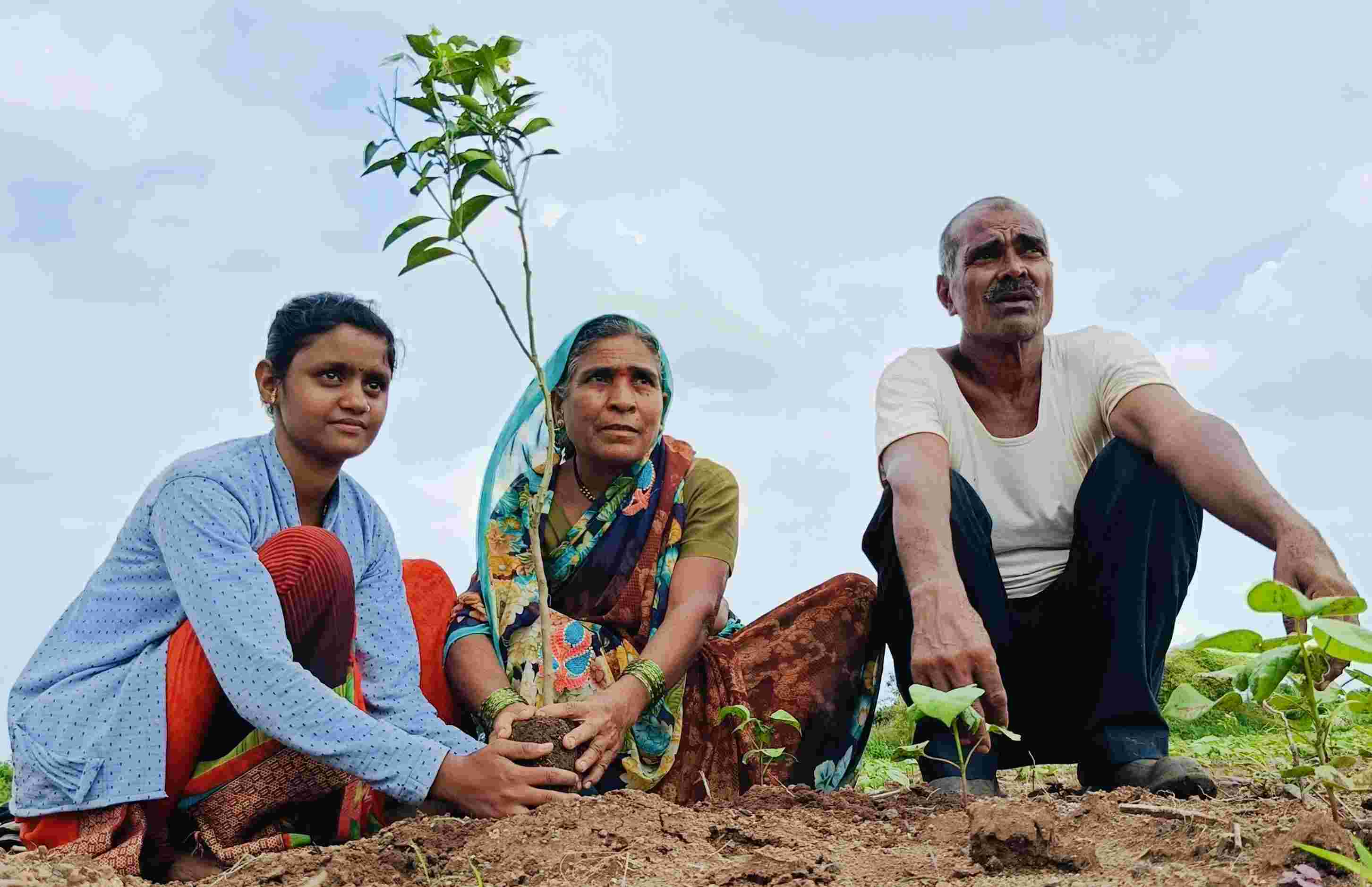 Why agroforestry is the future of resilient farming